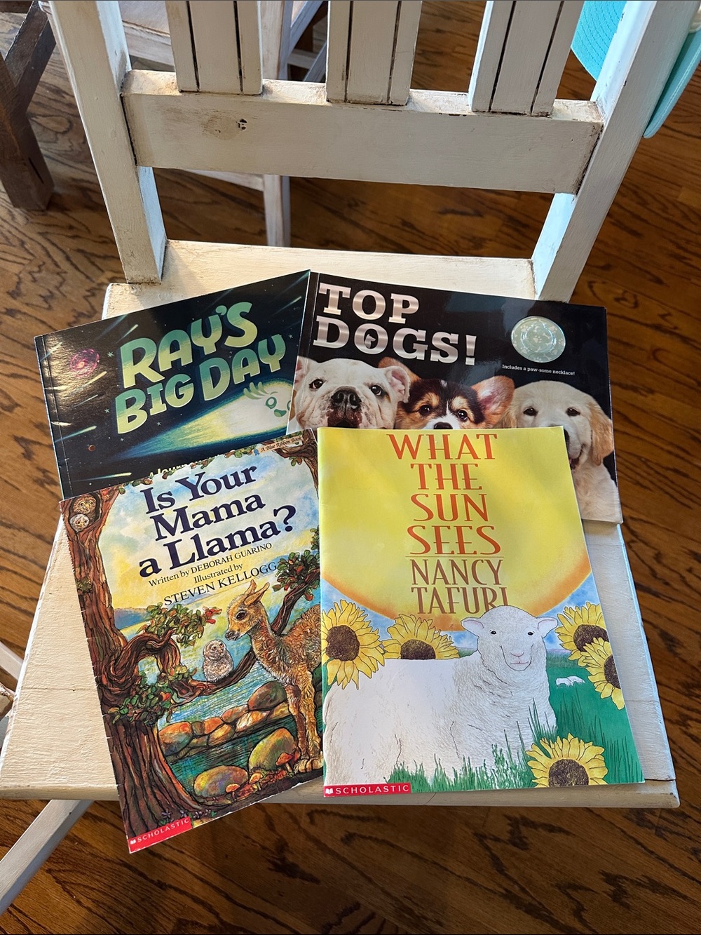 Scholastic book bundle!